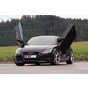 Preview: LSD Flügeltüren Audi TT 8J