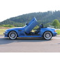 Preview: LSD Flügeltüren BMW Z3