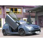 Preview: LSD Flügeltüren Citroen C4