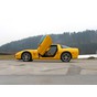 Preview: LSD Flügeltüren Chevrolet Corvette C5