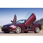 Preview: LSD Flügeltüren Mercedes Benz SLK W170