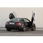Preview: LSD Flügeltüren Mercedes Benz CL W216