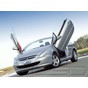 Preview: LSD Flügeltüren Peugeot 307 CC