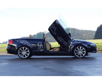 LSD Flügeltüren Audi A4 8H