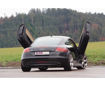LSD Flügeltüren Audi TT 8J