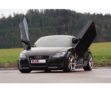 LSD Flügeltüren Audi TT 8J