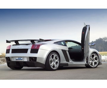 LSD Flügeltüren Lamborgini Gallardo