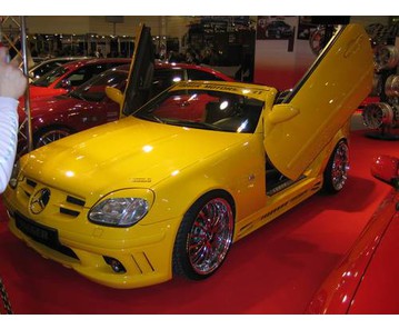 LSD Flügeltüren Mercedes Benz SLK W170