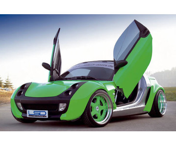 LSD Flügeltüren Smart Roadster