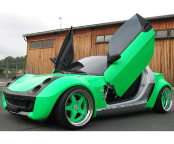 LSD Flügeltüren Smart Roadster