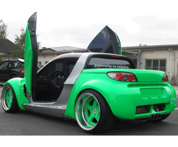 LSD Flügeltüren Smart Roadster