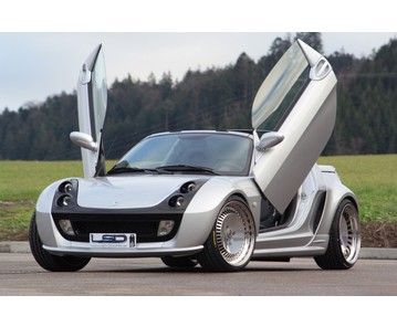 LSD Flügeltüren Smart Roadster