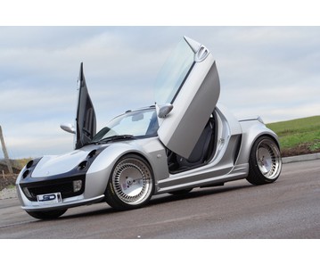 LSD Flügeltüren Smart Roadster