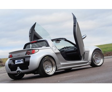 LSD Flügeltüren Smart Roadster
