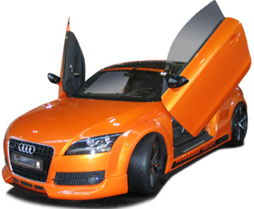LSD Flügeltüren Audi TT 8J