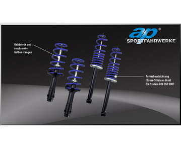 AP Sportfahrwerk für BMW E46 Touring