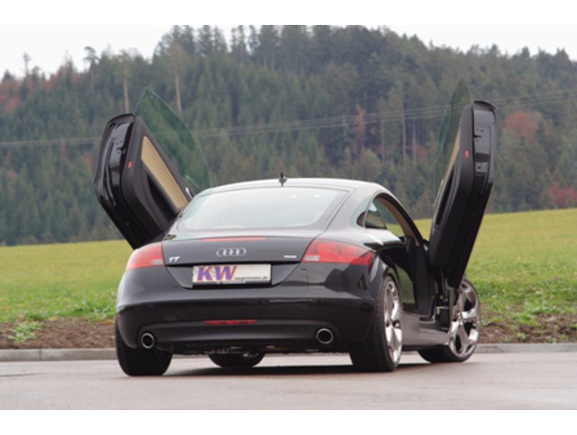 LSD Flügeltüren Audi TT 8J