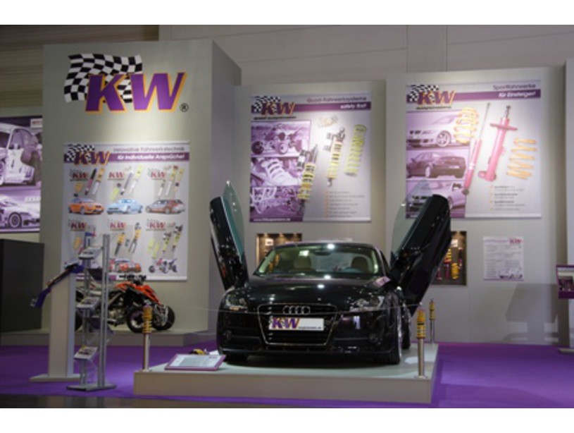 LSD Flügeltüren Audi TT 8J