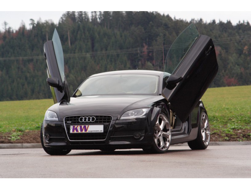 LSD Flügeltüren Audi TT 8J