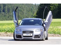 LSD Flügeltüren Audi A3 8P