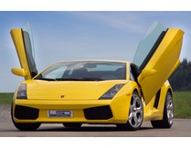 LSD Flügeltüren Lamborgini Gallardo