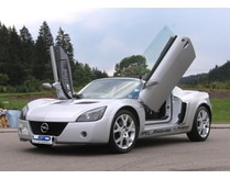 LSD Flügeltüren Opel Speedster