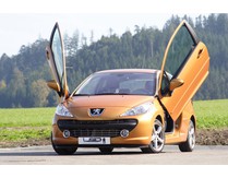 LSD Flügeltüren Peugeot 207, 3trg.