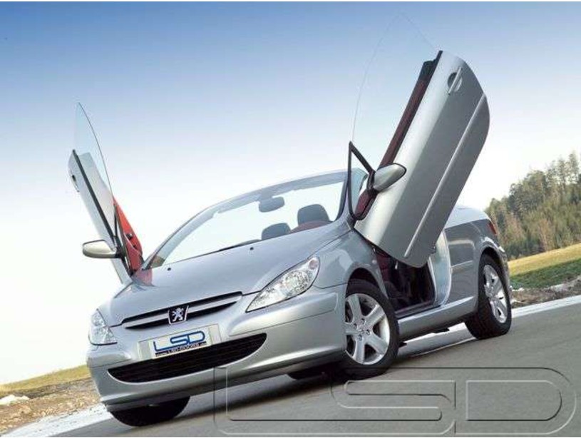 LSD Flügeltüren Peugeot 307 CC – Bild 2