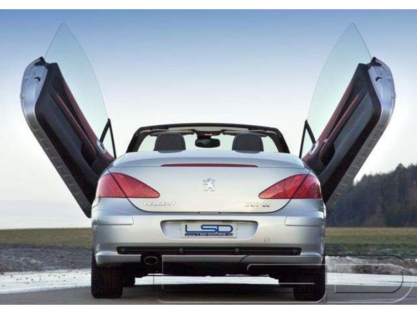LSD Flügeltüren Peugeot 307 CC – Bild 5